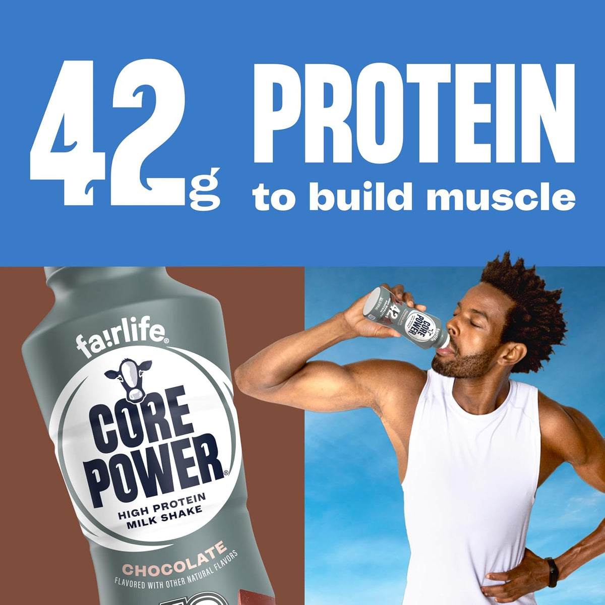 Core Power Fairlife Elite 42g High Protein Milk Shakes For kosher diet, Ready to Drink for Workout Recovery, Chocolate, 14 Fl Oz (Pack of 12), Liquid, Bottle